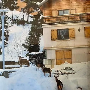 Familial Chalet Auron
